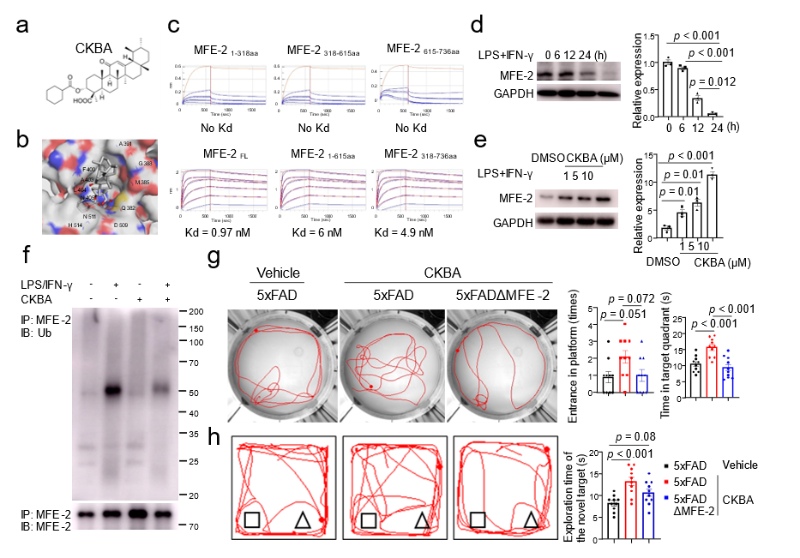 A screenshot of a computer

Description automatically generated