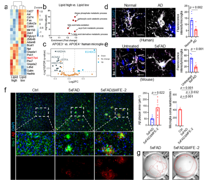 A collage of images and diagrams

Description automatically generated